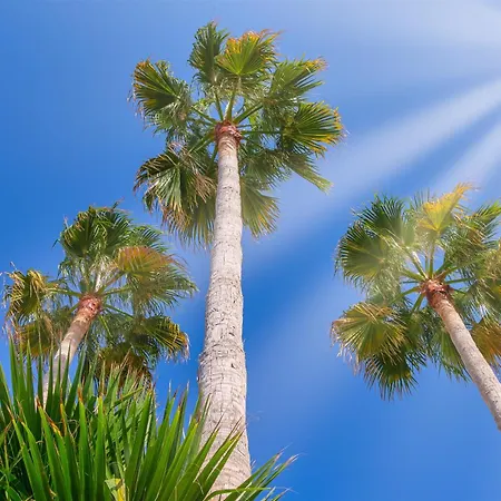 Nana Angela Hersonissos (Crete)