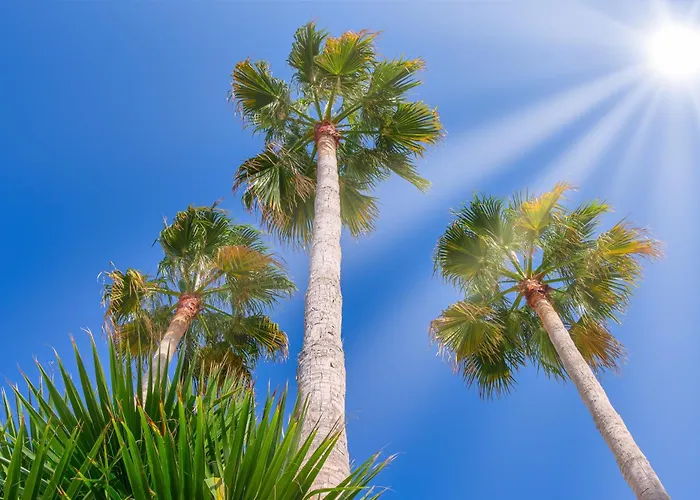 Nana Angela Hersonissos (Crete)